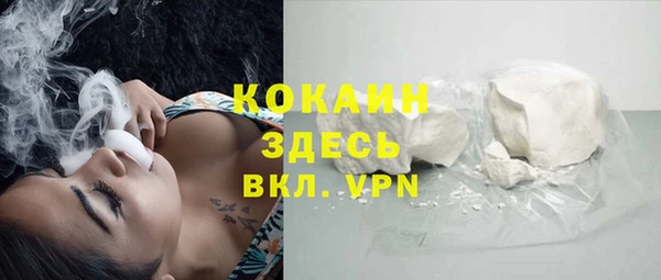 стафф Алзамай