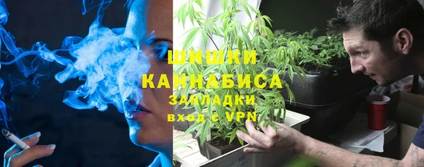 сатива Алексин